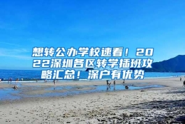 想转公办学校速看！2022深圳各区转学插班攻略汇总！深户有优势