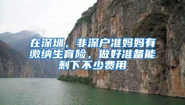 在深圳，非深户准妈妈有缴纳生育险，做好准备能剩下不少费用