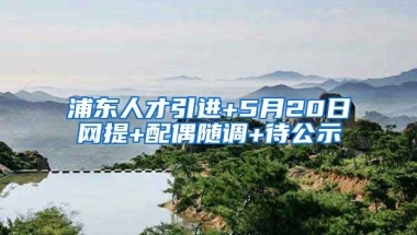 浦东人才引进+5月20日网提+配偶随调+待公示