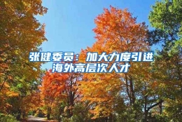 张健委员：加大力度引进海外高层次人才