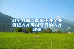 武平县重点规模工业企业引进人才可以享受的人才政策