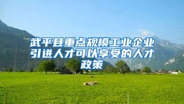 武平县重点规模工业企业引进人才可以享受的人才政策