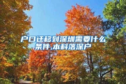 户口迁移到深圳需要什么条件,本科落深户