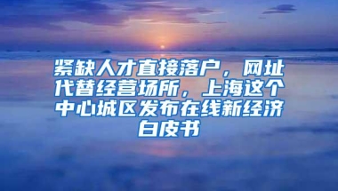 紧缺人才直接落户，网址代替经营场所，上海这个中心城区发布在线新经济白皮书