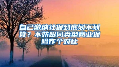 自己缴纳社保到底划不划算？不妨跟同类型商业保险作个对比