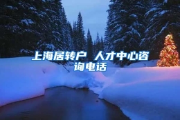 上海居转户 人才中心咨询电话