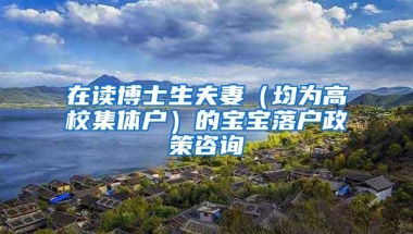 在读博士生夫妻（均为高校集体户）的宝宝落户政策咨询