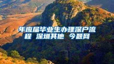 年应届毕业生办理深户流程 深圳其他 今题网