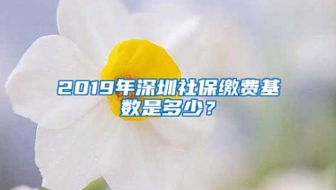 2019年深圳社保缴费基数是多少？