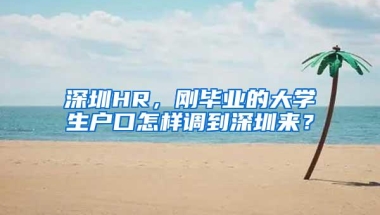 深圳HR，刚毕业的大学生户口怎样调到深圳来？