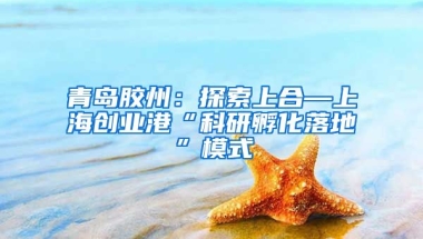 青岛胶州：探索上合—上海创业港“科研孵化落地”模式