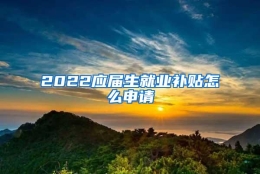 2022应届生就业补贴怎么申请