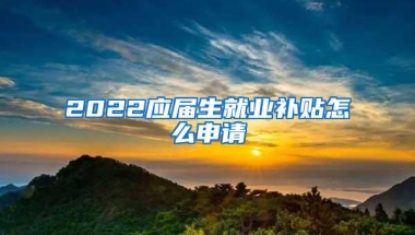 2022应届生就业补贴怎么申请