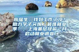 应届生，找到工作了没？助力学子突围“最难就业季”，上海基层提前一月启动就业调查