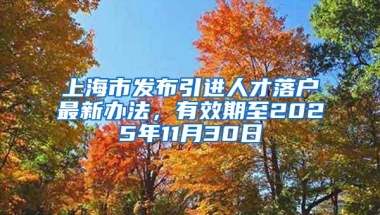 上海市发布引进人才落户最新办法，有效期至2025年11月30日