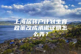 上海居转户计划生育政策改成承诺证明怎么弄？