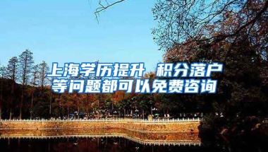 上海学历提升 积分落户等问题都可以免费咨询