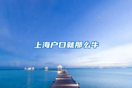 上海户口就那么牛