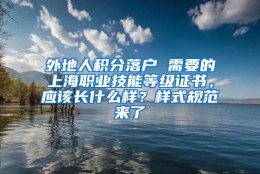 外地人积分落户 需要的上海职业技能等级证书，应该长什么样？样式规范来了→