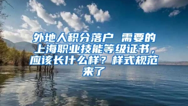 外地人积分落户 需要的上海职业技能等级证书，应该长什么样？样式规范来了→