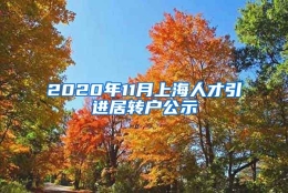 2020年11月上海人才引进居转户公示