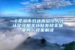 《芜湖市引进高层次人才认定及相关补贴发放实施细则》政策解读