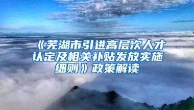 《芜湖市引进高层次人才认定及相关补贴发放实施细则》政策解读