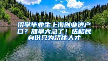 留学毕业生上海创业送户口？加拿大急了！送移民身份只为留住人才