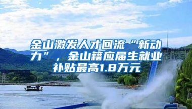 金山激发人才回流“新动力”，金山籍应届生就业补贴最高1.8万元