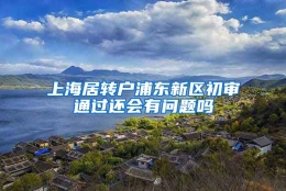 上海居转户浦东新区初审通过还会有问题吗