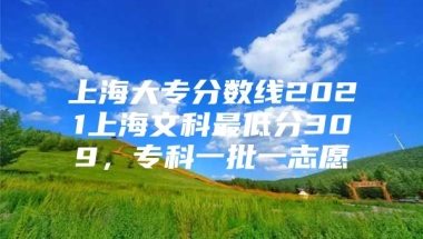 上海大专分数线2021上海文科最低分309，专科一批一志愿