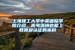 上海理工大学中英国际学院介绍，高考落榜也能上教育部认证的本科