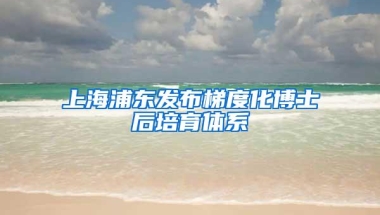 上海浦东发布梯度化博士后培育体系