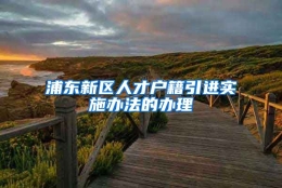 浦东新区人才户籍引进实施办法的办理