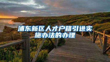 浦东新区人才户籍引进实施办法的办理