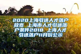 2020上海引进人才落户放宽 上海市人才引进落户条件2018 上海人才引进落户11月份公示