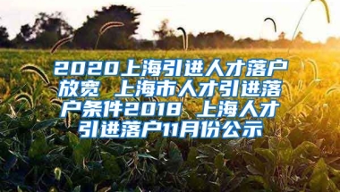 2020上海引进人才落户放宽 上海市人才引进落户条件2018 上海人才引进落户11月份公示