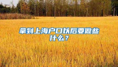 拿到上海户口以后要做些什么？