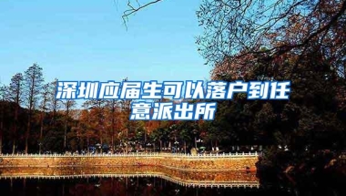 深圳应届生可以落户到任意派出所