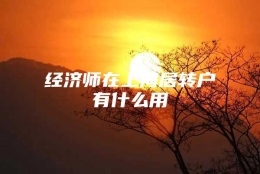 经济师在上海居转户有什么用