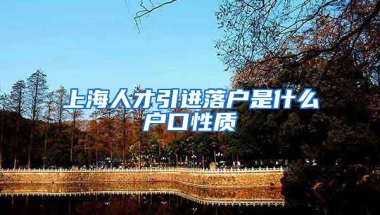 上海人才引进落户是什么户口性质