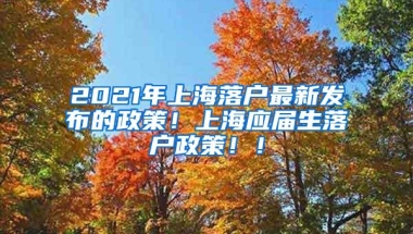 2021年上海落户最新发布的政策！上海应届生落户政策！！