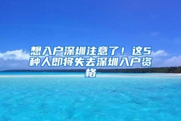 想入户深圳注意了！这5种人即将失去深圳入户资格