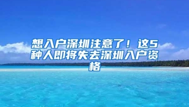 想入户深圳注意了！这5种人即将失去深圳入户资格