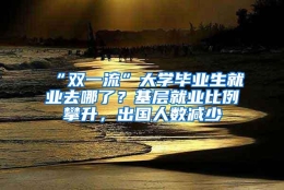 “双一流”大学毕业生就业去哪了？基层就业比例攀升，出国人数减少