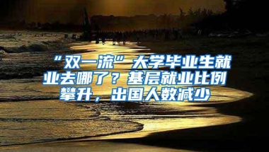 “双一流”大学毕业生就业去哪了？基层就业比例攀升，出国人数减少