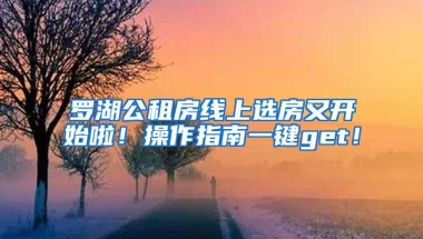 罗湖公租房线上选房又开始啦！操作指南一键get！