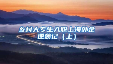 乡村大专生入职上海外企逆袭记（上）