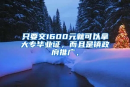 只要交1600元就可以拿大专毕业证，而且是镇政府推广，