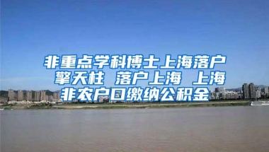 非重点学科博士上海落户 擎天柱 落户上海 上海非农户口缴纳公积金